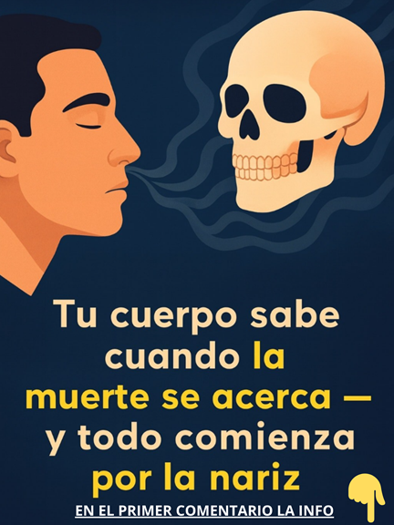 Conexion entre el olfato y la salud