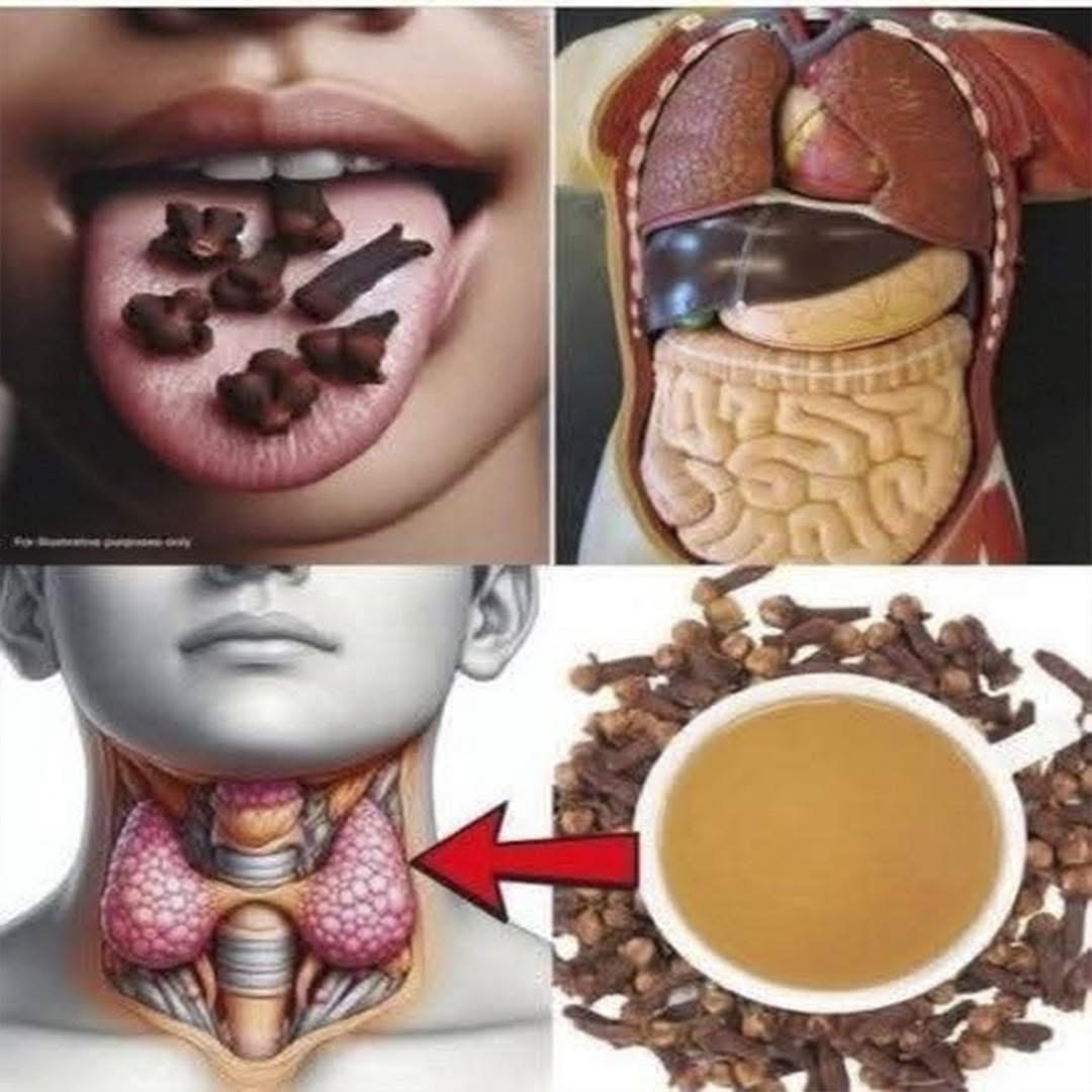 Clavos de olor y su impacto en la salud
