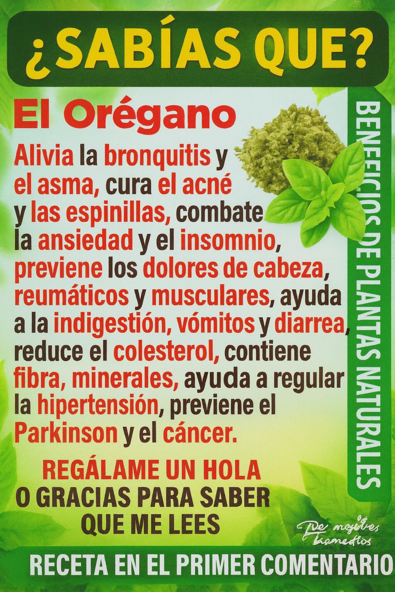 Beneficios del Orégano