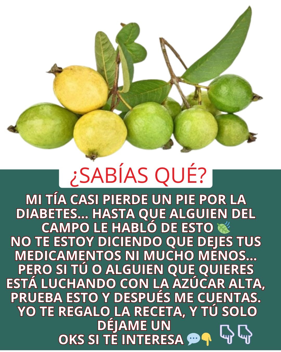 Guayabas frescas con hojas