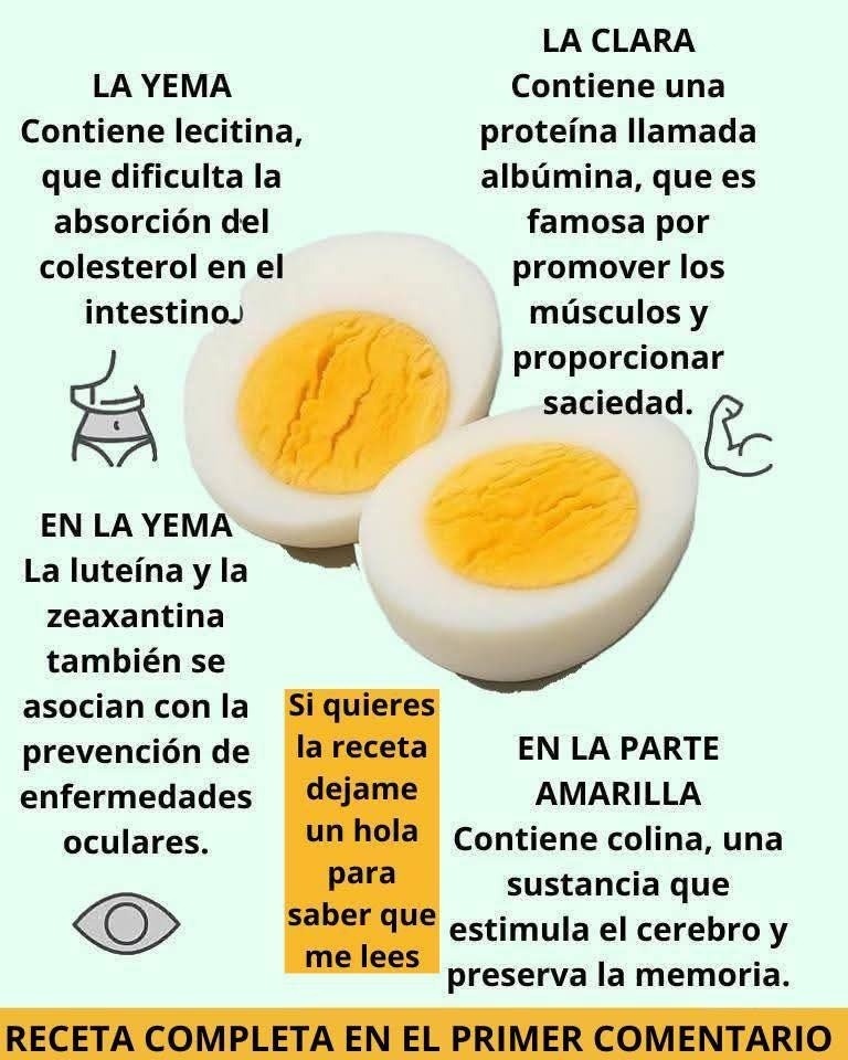 Propiedades nutricionales de un huevo