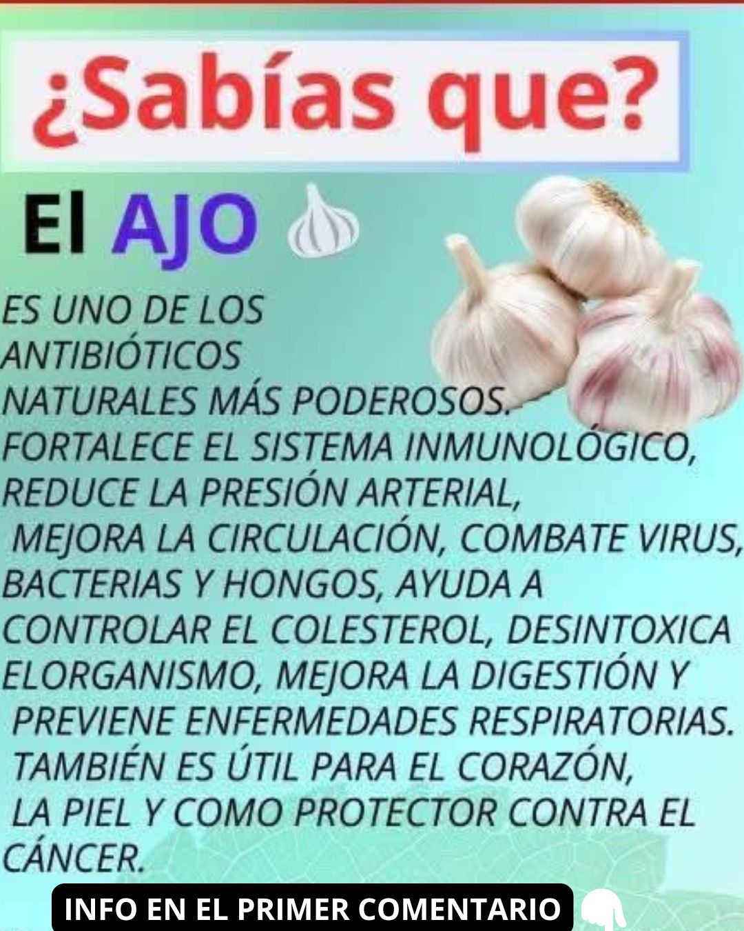 Beneficios del Ajo