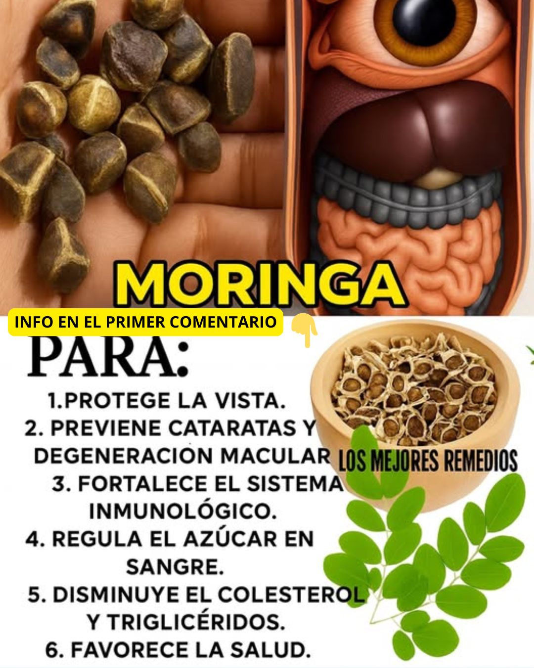 Beneficios de la Moringa para la salud ocular