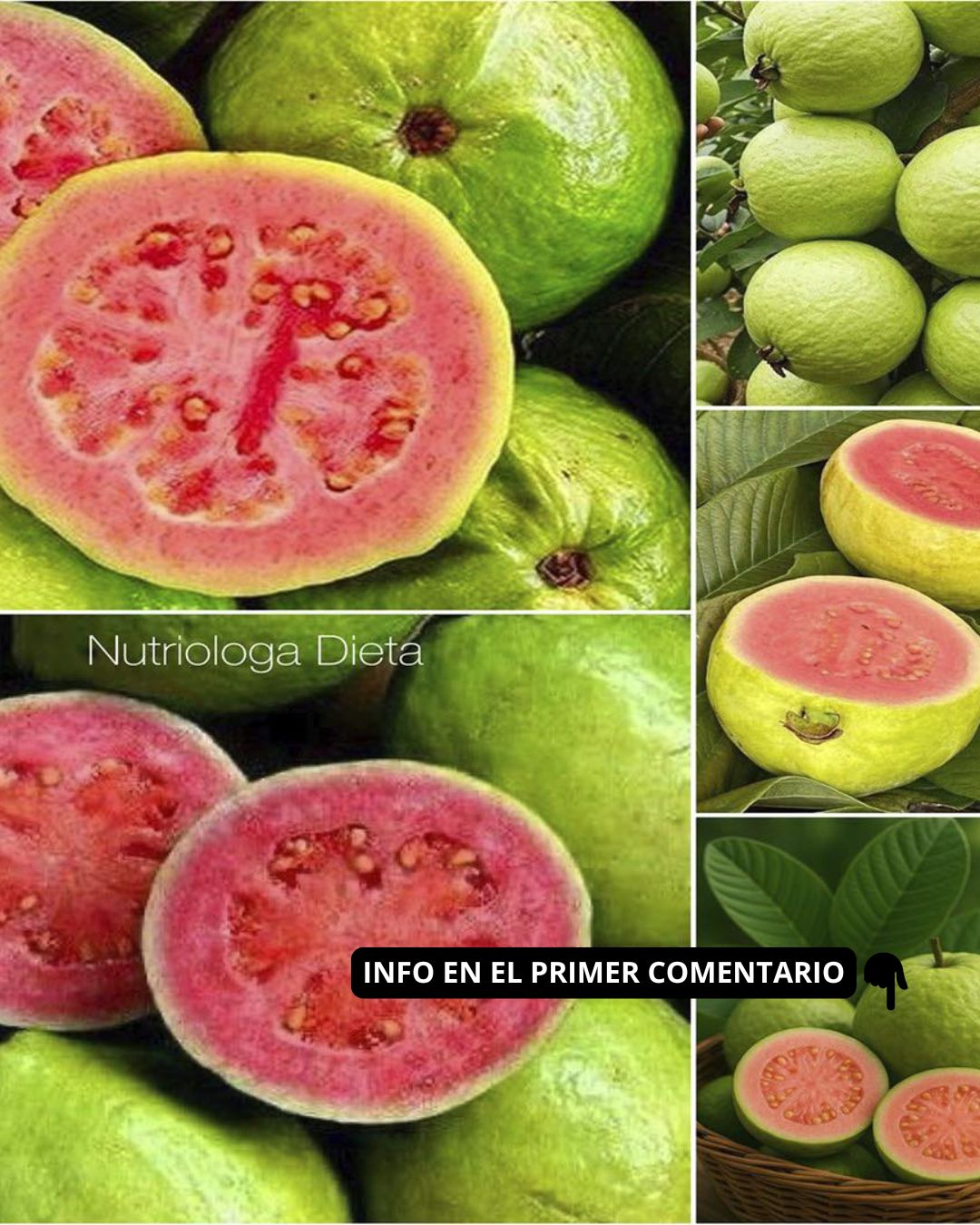 Guayabas frescas y nutritivas