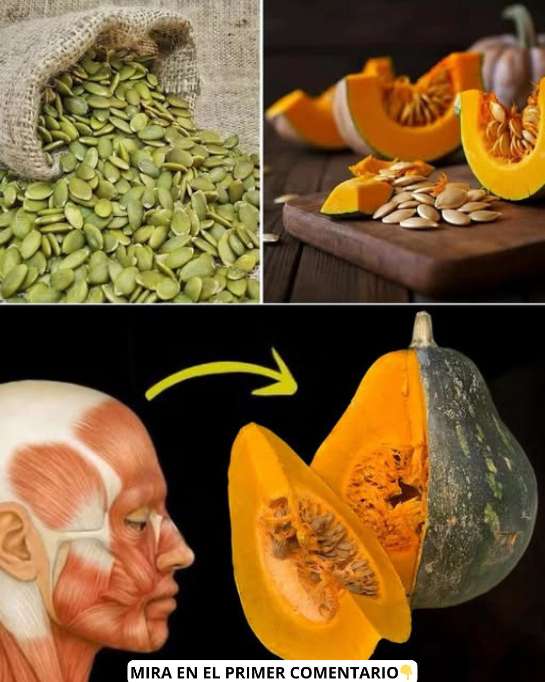 Semillas de calabaza