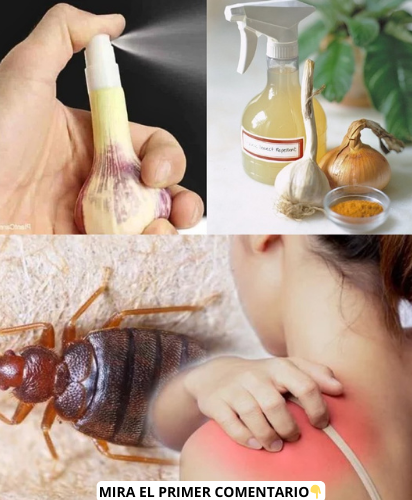 Recetas para repelentes naturales