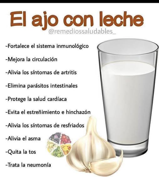 Ajo con leche: beneficios para la salud