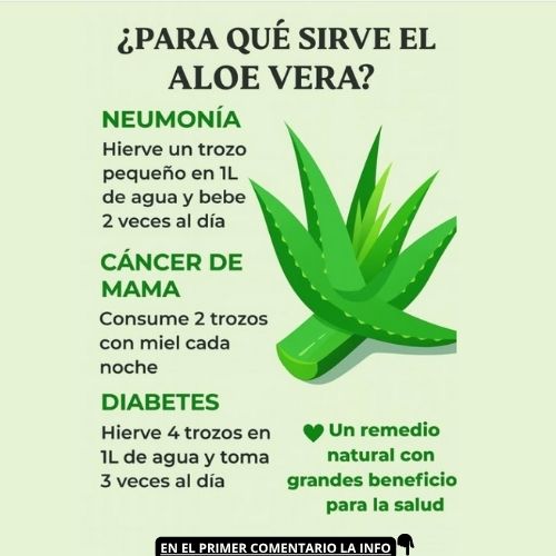 Beneficios del Aloe Vera