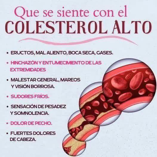 Gráfico que ilustra un vaso sanguíneo afectado por colesterol alto