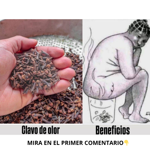 Clavo de olor