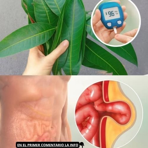Hojas de Mango y Control del Azúcar
