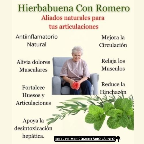 Infusión de hierbabuena con romero