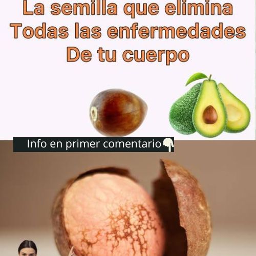 Semilla de aguacate