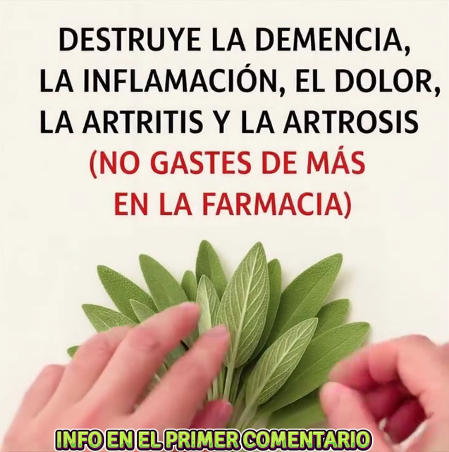 Beneficios de la salvia para la salud