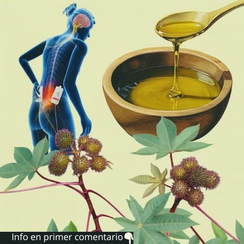 Diagrama de uso medicinal del aceite de ricino