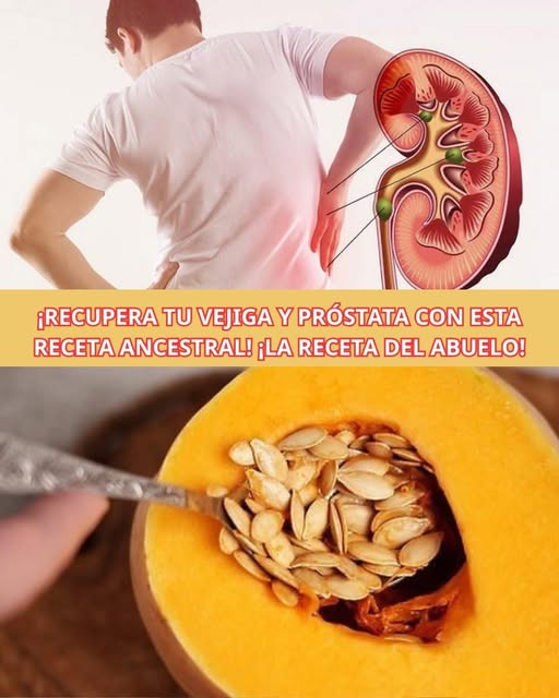 Semillas de Calabaza