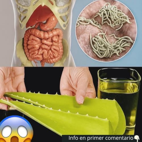 Aloe Vera y sus beneficios