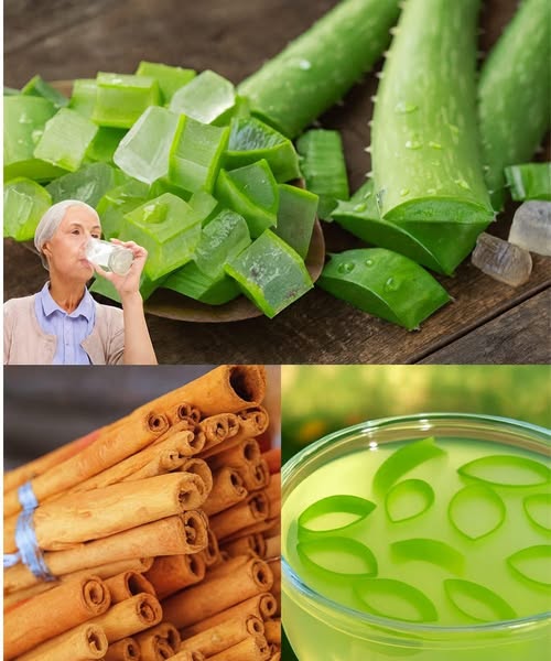 Ingredientes naturales para la salud