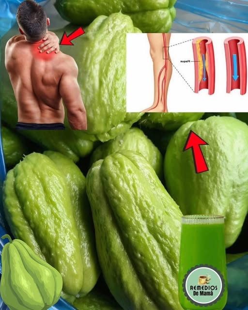 Chayote - Beneficios para la Salud