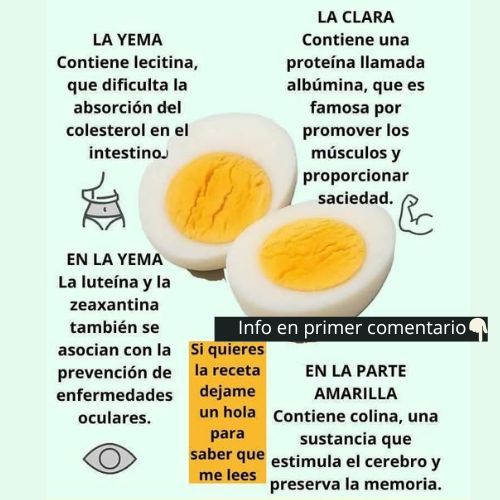 Infografía sobre los beneficios del consumo de huevo
