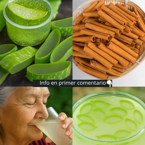 Ingredientes saludables: Aloe Vera y Canela