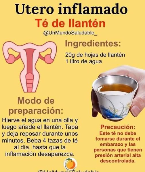 Té de llantén