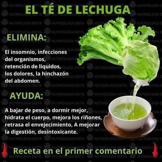 Beneficios del té de lechuga