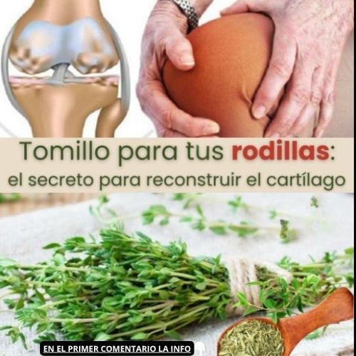 Tomillo para tus rodillas