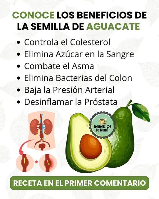 Beneficios de la semilla de aguacate
