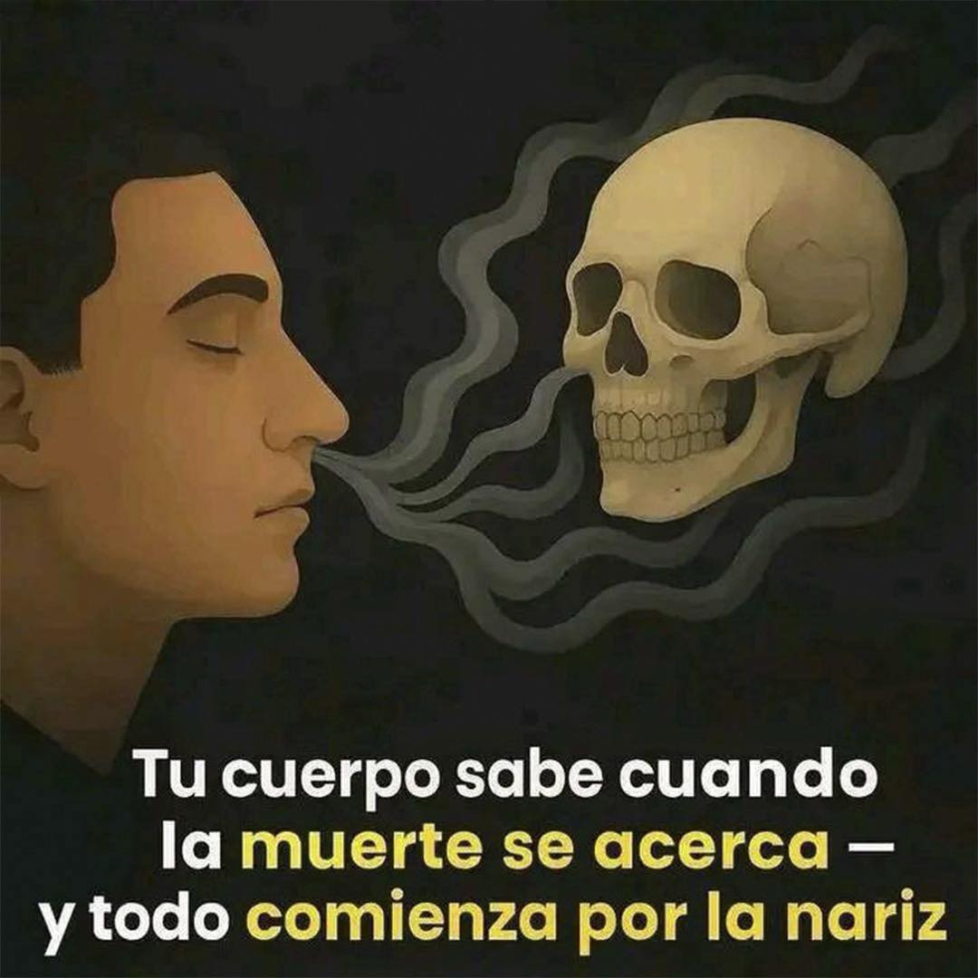 Rascar la Palma de la Mano