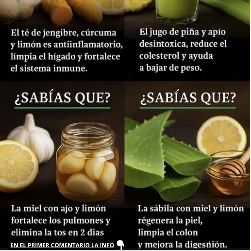 Remedios Naturales para el Cuerpo y Mente