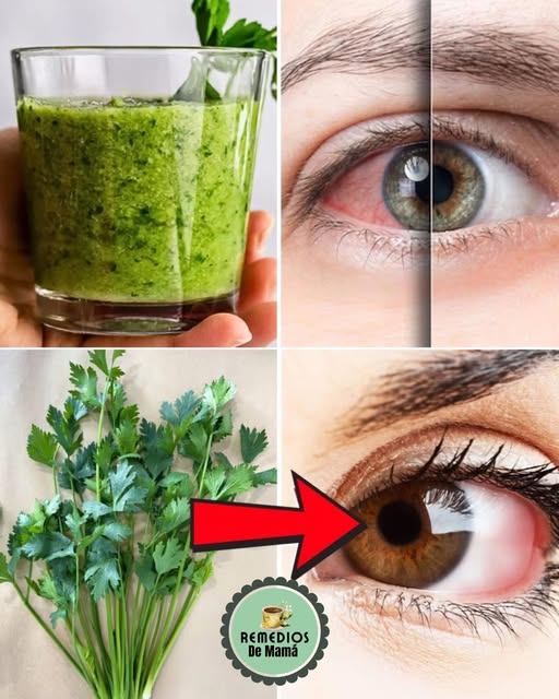 Batido verde de perejil para la vista