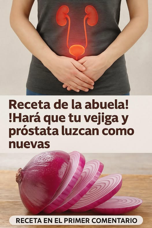 Ilustración del sistema urinario junto a cebolla roja