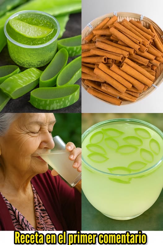 Collage de Aloe Vera y Canela