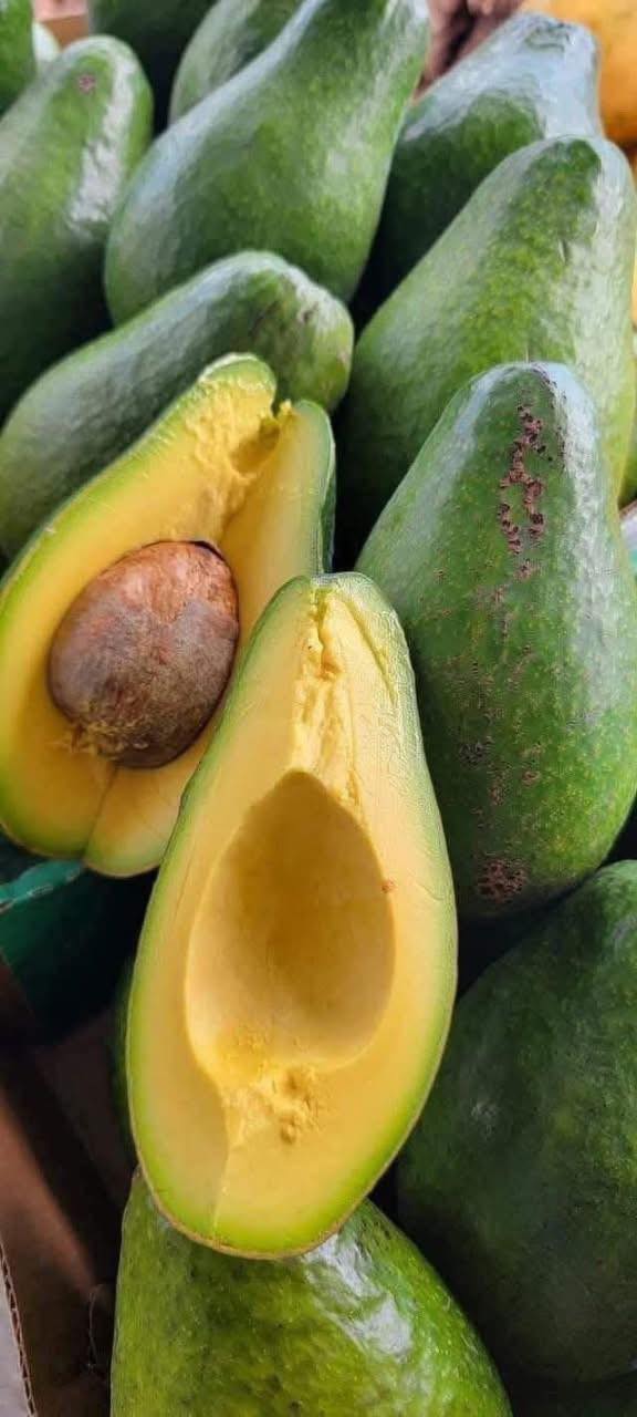 Aguacates frescos
