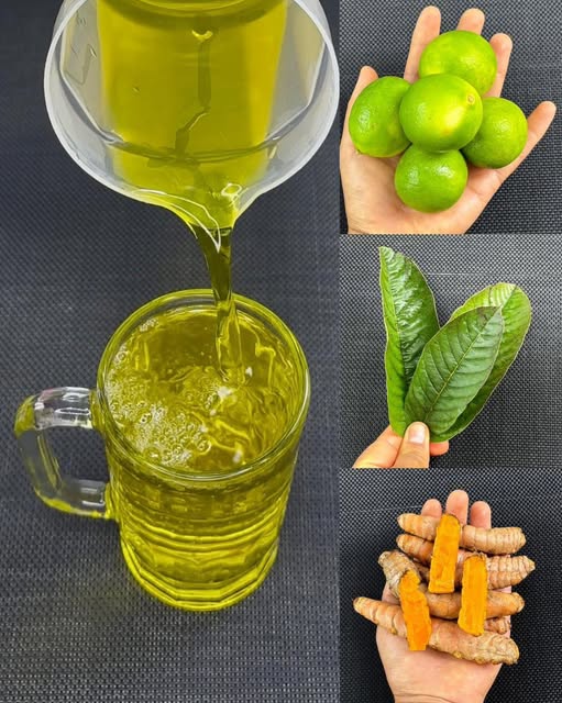 Ingredientes naturales para la bebida curativa