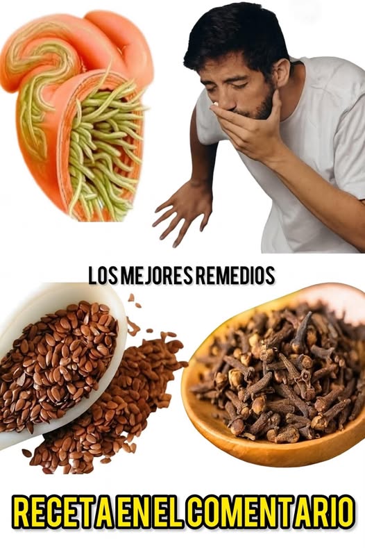 Semillas de lino y clavos de olor