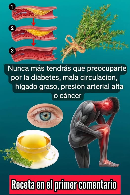 Hierbas medicinales y sus beneficios para la salud