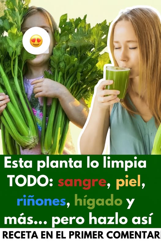 Beneficios del apio