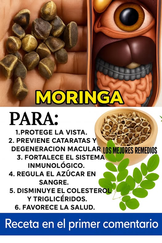Beneficios de la moringa para la salud ocular