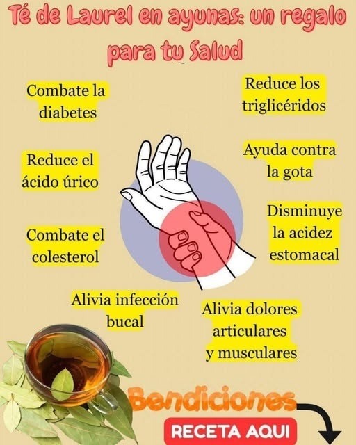 Hoja de Laurel