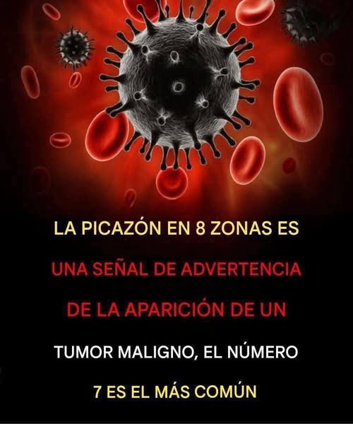 Ilustraciones de células y glóbulos rojos