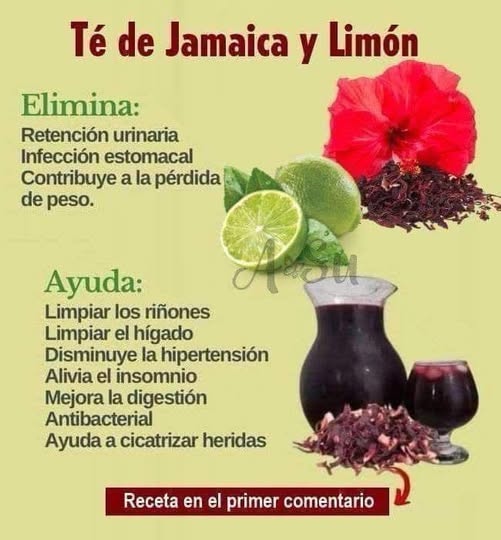 Té de Jamaica y Limón