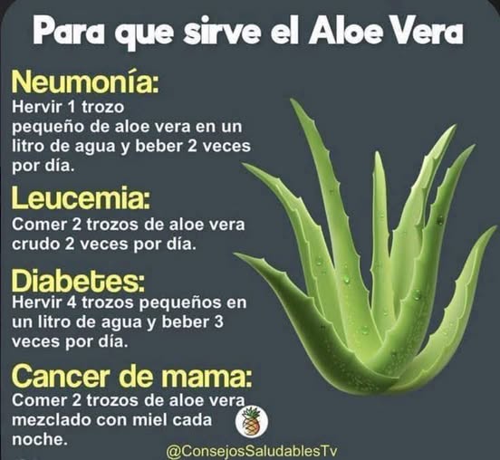 Usos del Aloe Vera