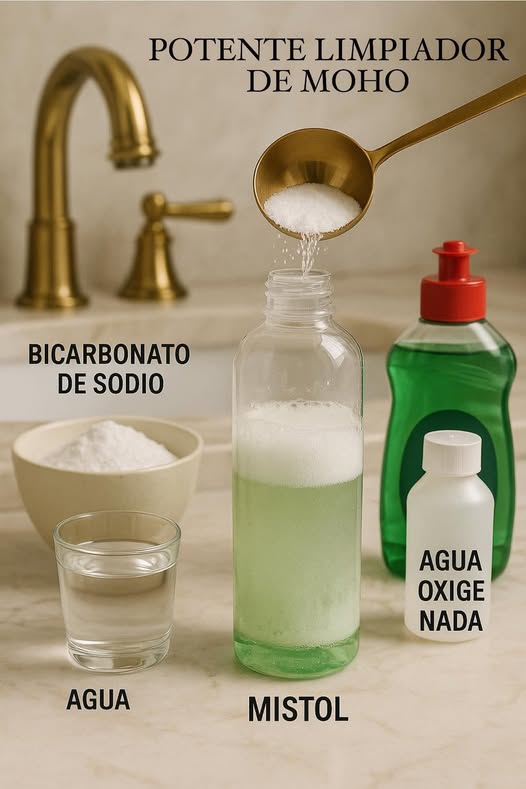 Preparación de un potente limpiador de moho casero