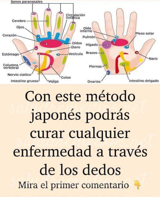 Diagrama de Reflexología de Manos