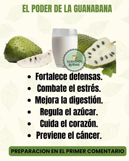Batido de Guanabana