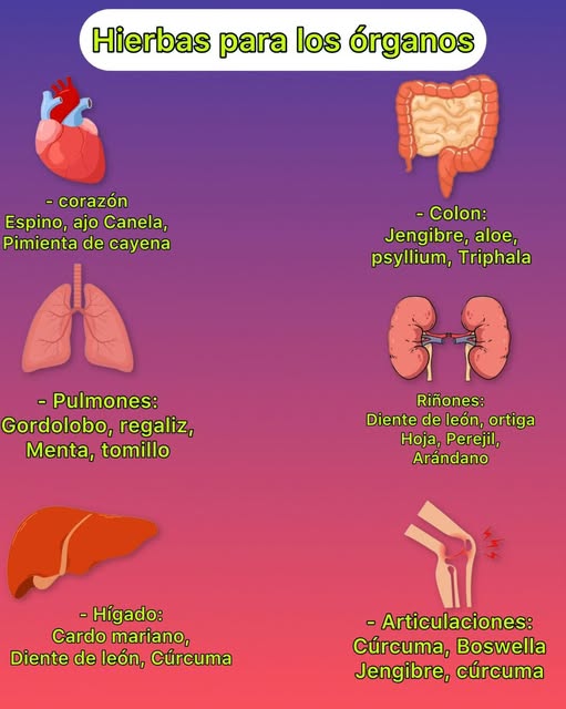 Guía de Hierbas Beneficiosas para la Salud