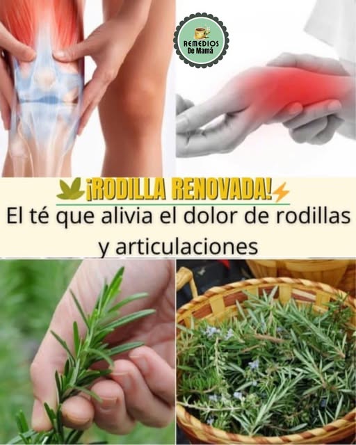 Té de Romero para aliviar el dolor de rodillas