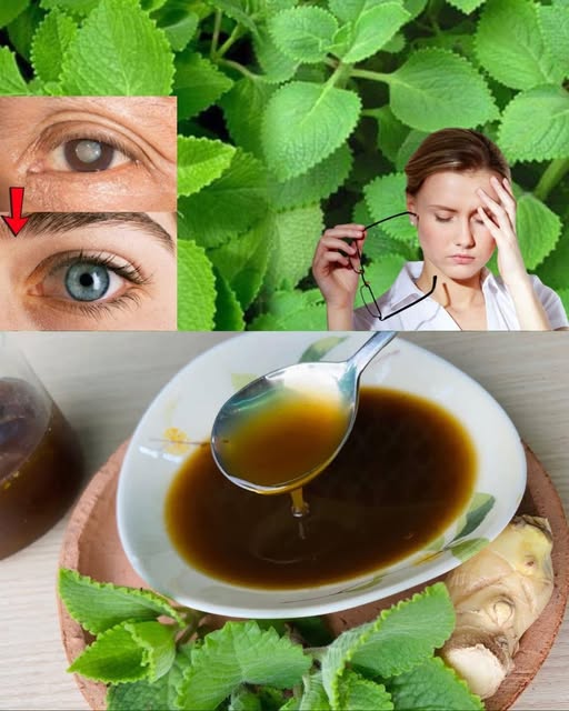 Remedio natural para la visión